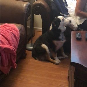 Meet your Posher, Patrick